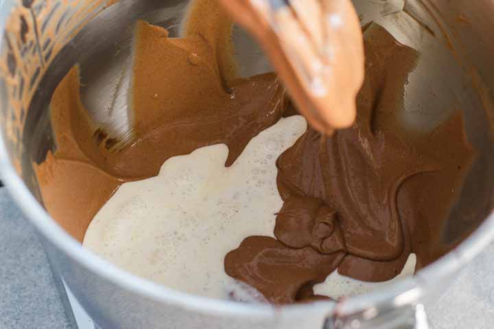 cheesecake al cioccolato ricetta