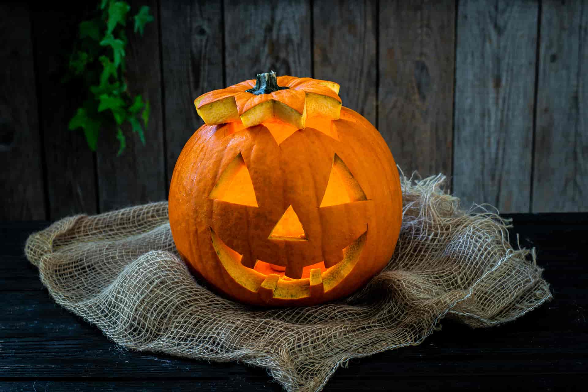 zucca halloween intagliata