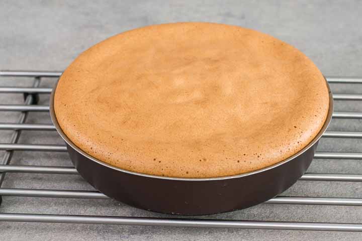 ricetta pan di spagna senza glutine