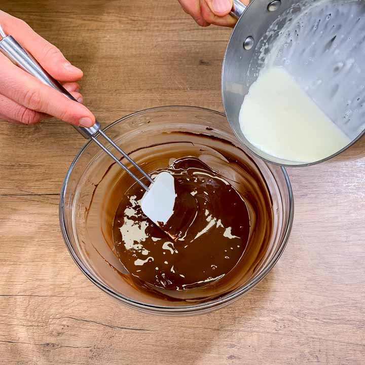 dolci al cocco e cioccolato senza cottura