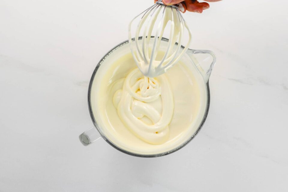 pan di spagna ricetta