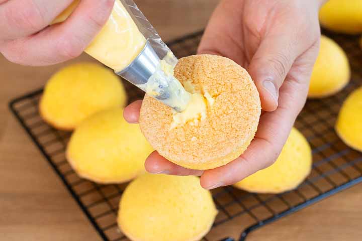 delizie al limone facili