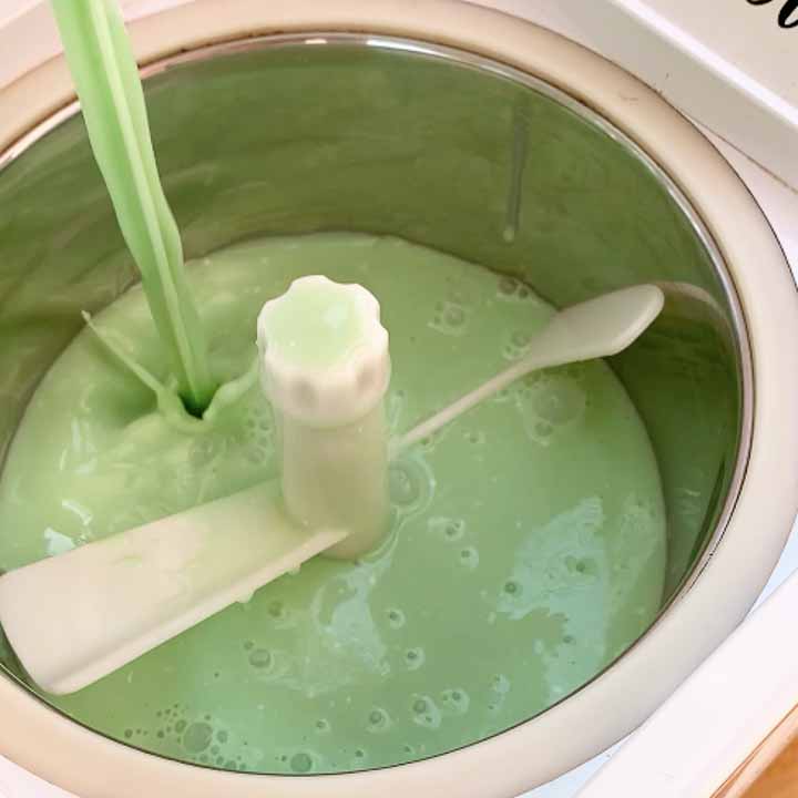 gelato alla menta fatto in casa