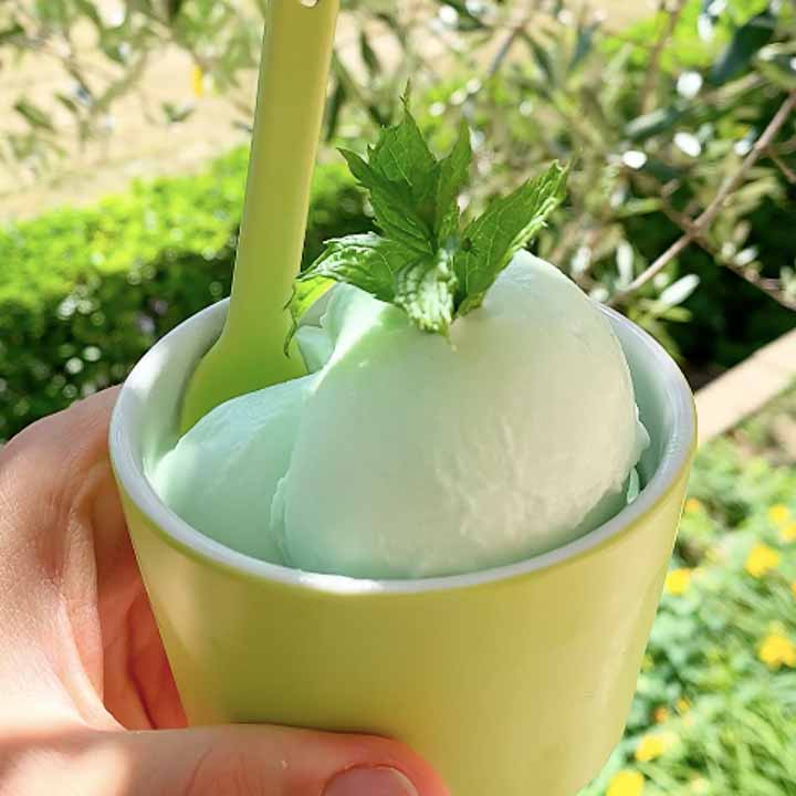 gelato menta