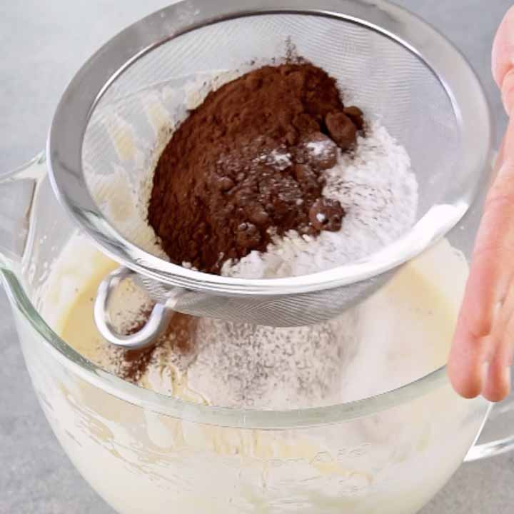 pan di spagna di cioccolato
