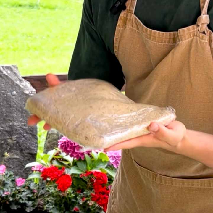 pasta frolla di grano saraceno
