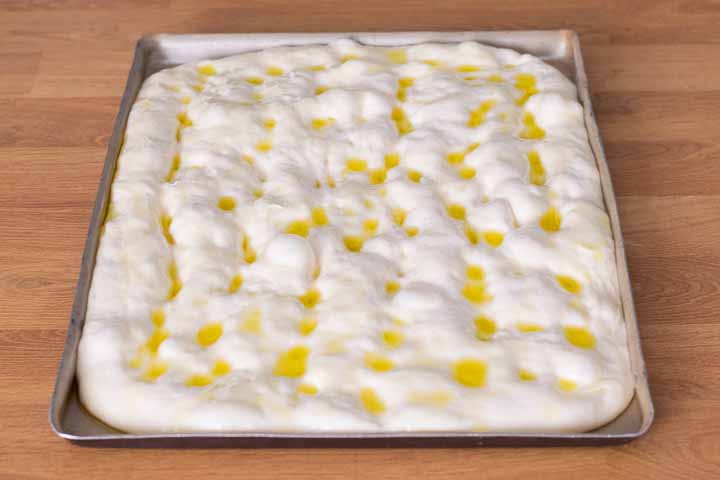 schiacciata toscana
